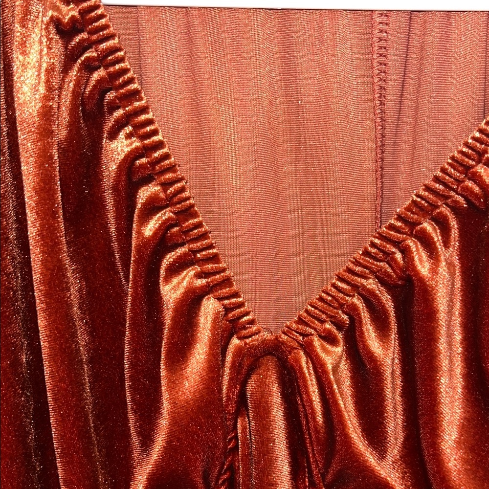 Shimmering Rust Velvet Dress - Picture 2 of 6